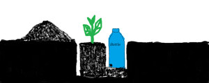 Bottle next to seedling