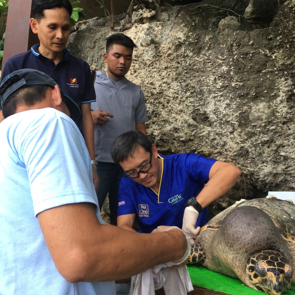 6d673fc3-349c-44f4-9d10-044eebe143bf