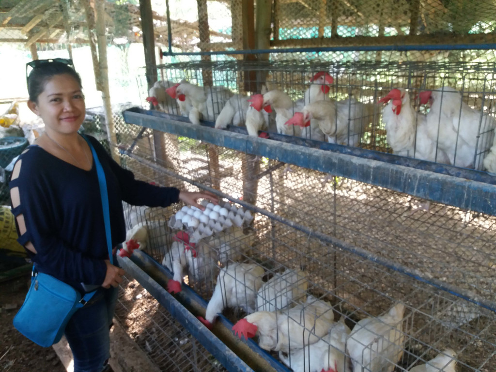 Coop Photo Sewing Machine