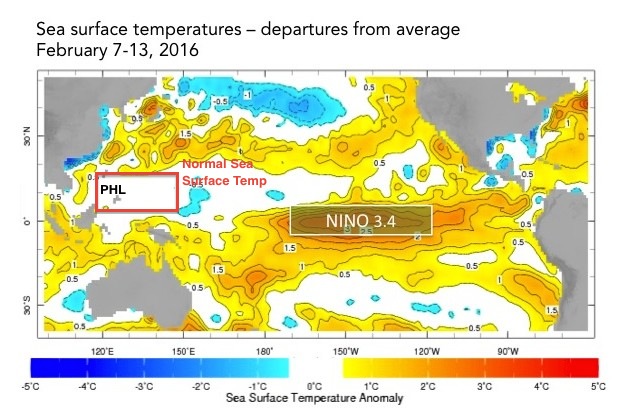 Sea surface temperature off the Philippine Sea and Western Pacific Ocean showing zero anomalies—not much difference from normal conditions observed during this same time of the year, quite unusual for a strong El Niño. Source: IRI-NOAA (http://iri.columbia.edu/news/)