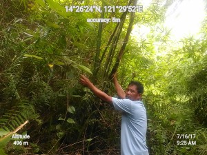 Geocam_16-07-2017_092517_data