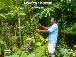 Geocam_16-07-2017_092946_data