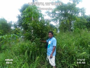 Geocam_16-07-2017_094537_data