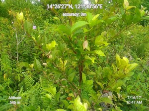 Geocam_16-07-2017_104731_data