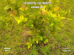 Geocam_16-07-2017_105032_data