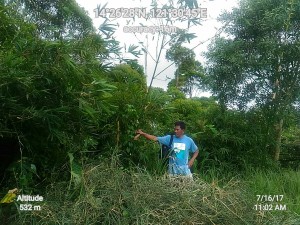 Geocam_16-07-2017_110202_data