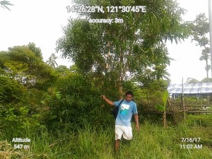 Geocam_16-07-2017_110215_data