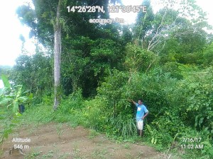 Geocam_16-07-2017_110247_data