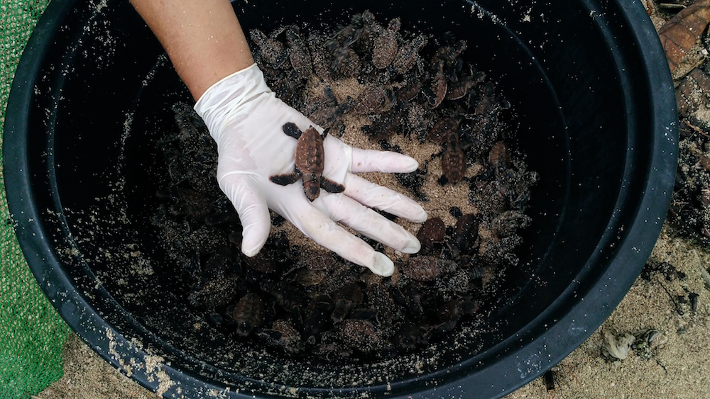 P_20170921_160131_vHDR_On