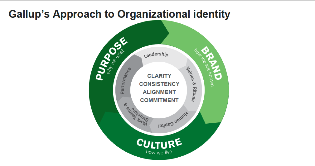 Screen Shot 2017-02-06 at 10.14.12 AM