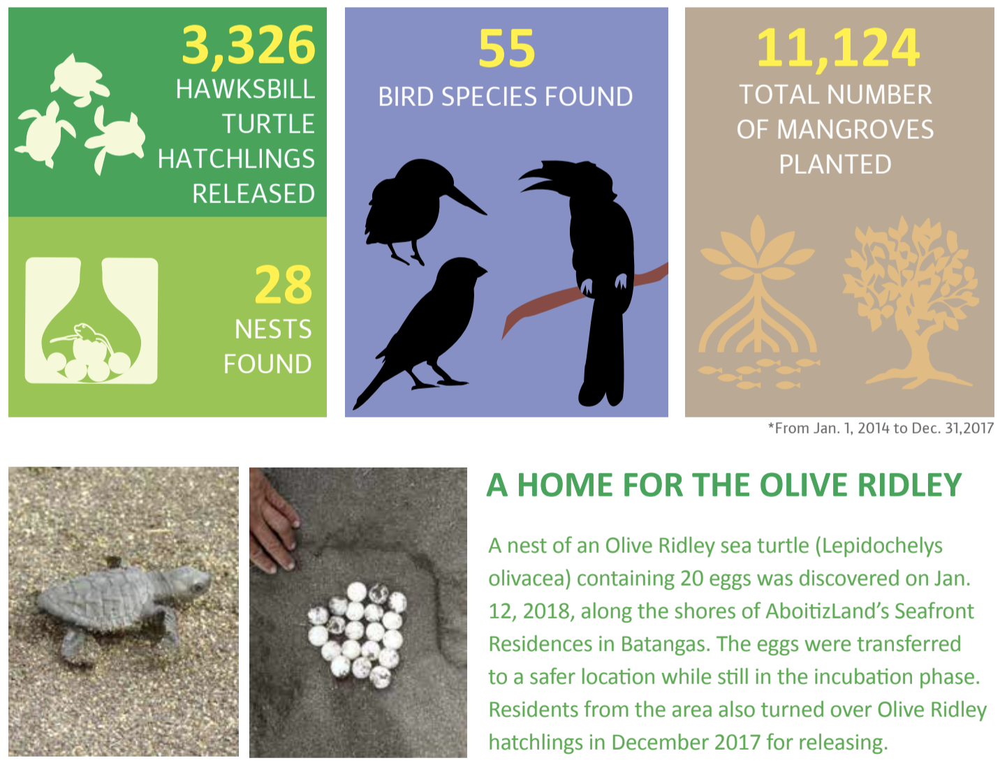 Screen Shot 2018-02-12 at 4.26.53 PM