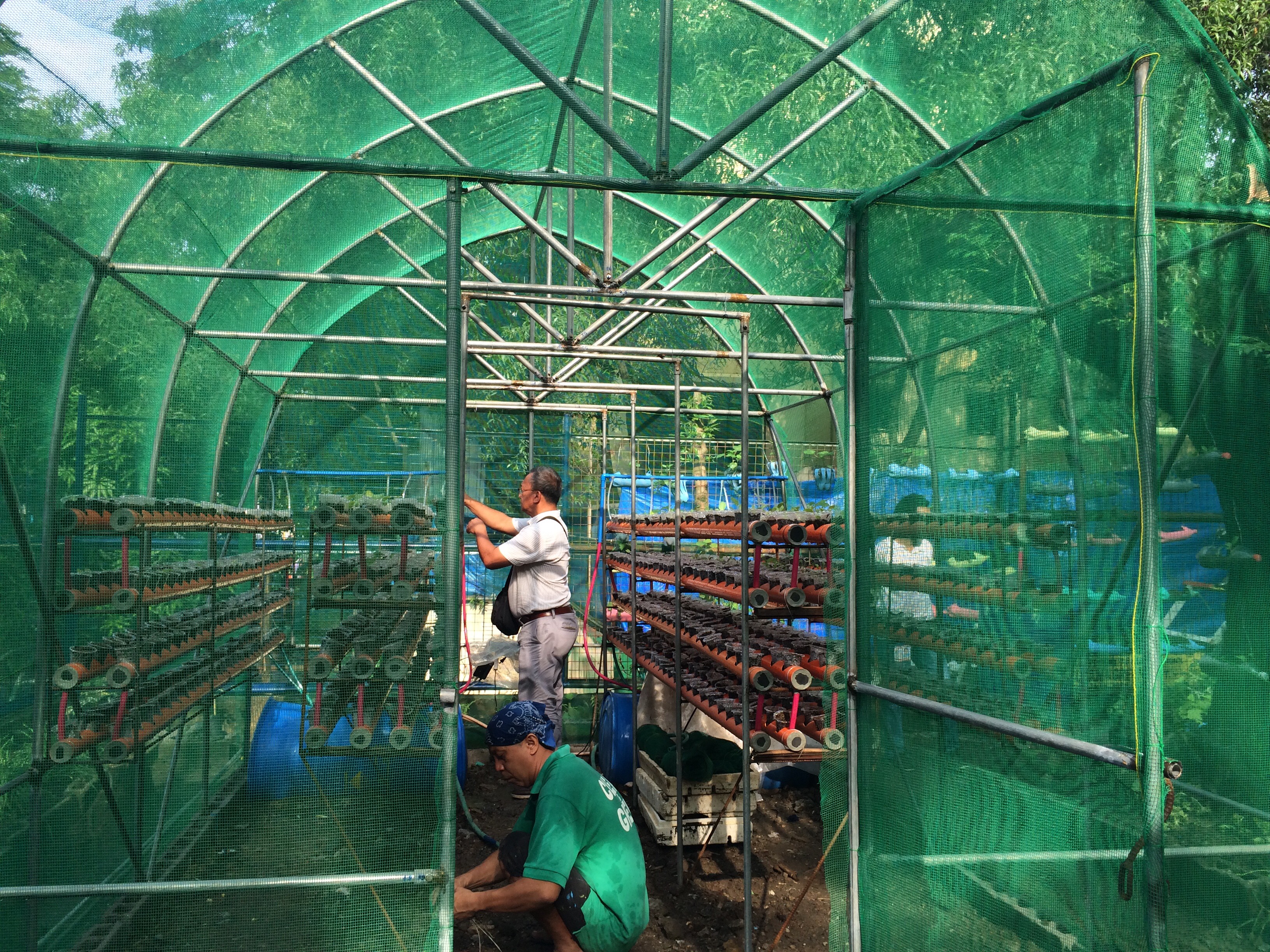 aquaponic facility