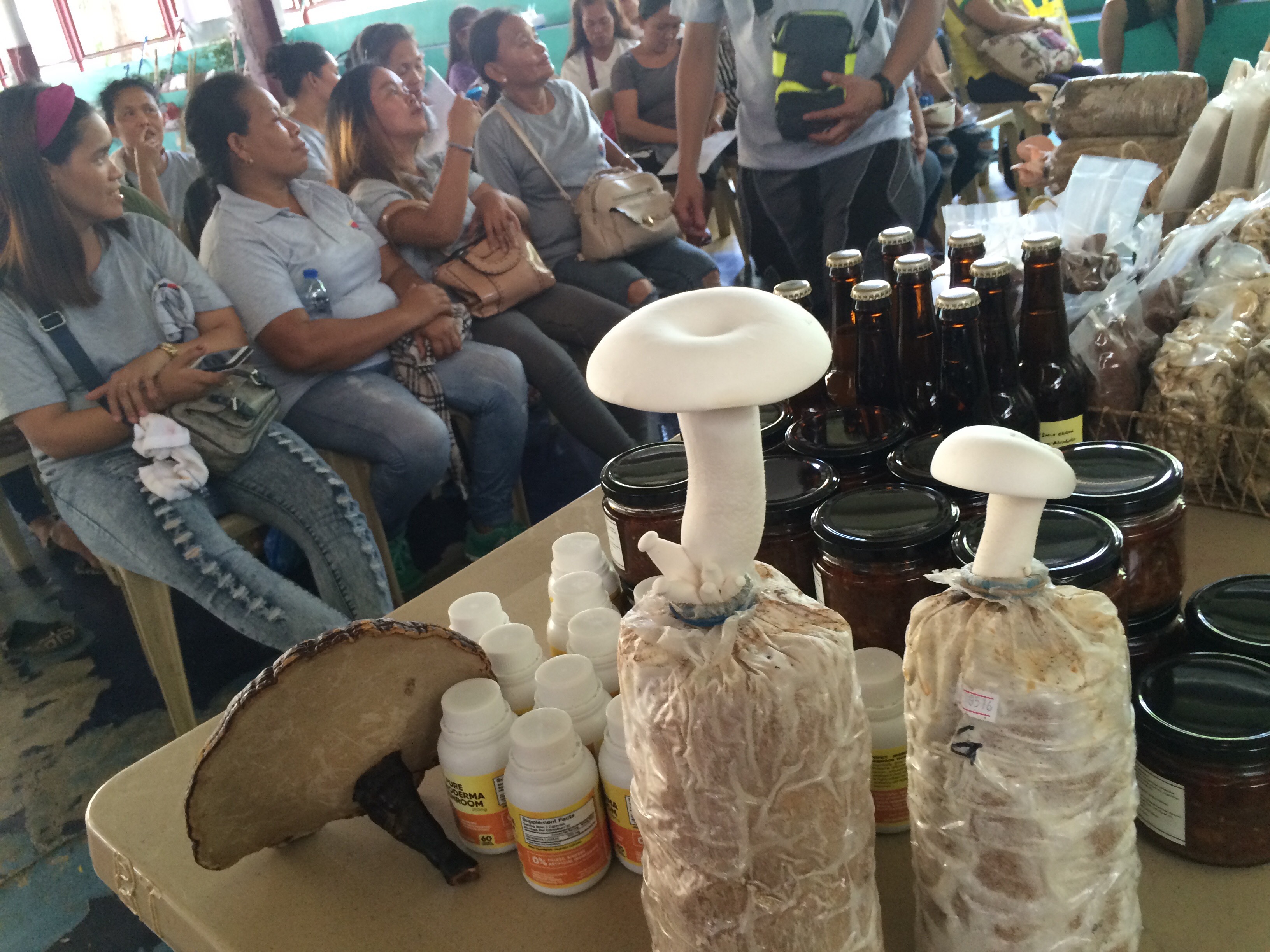 mushroom growing training