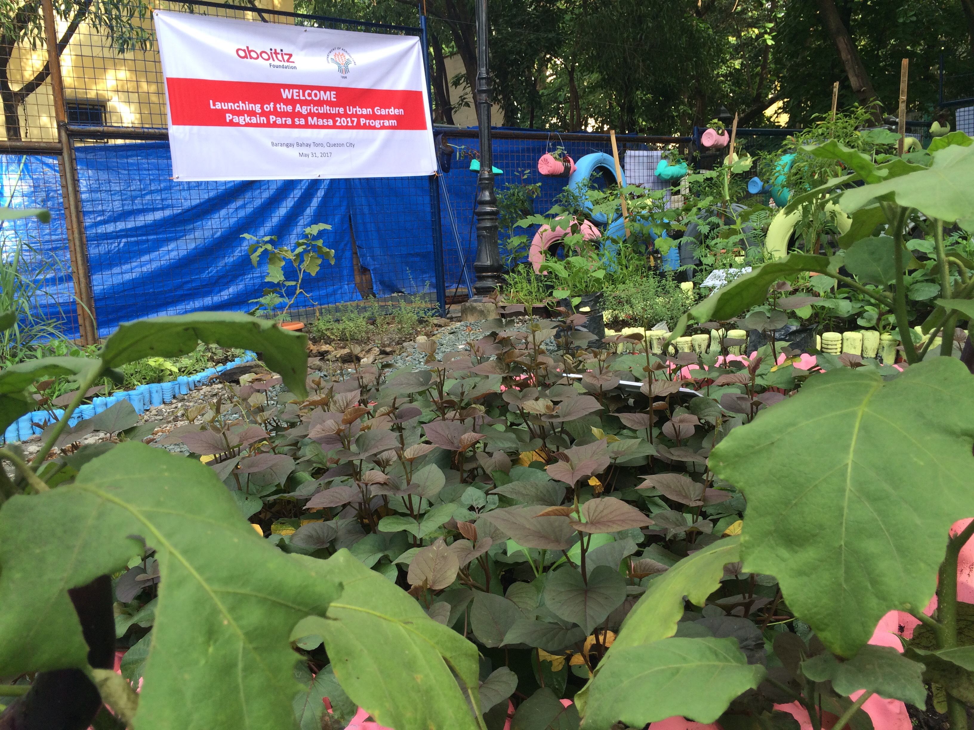 Aboitiz provide aquaponic facility for Pagkain Para Sa Masa program