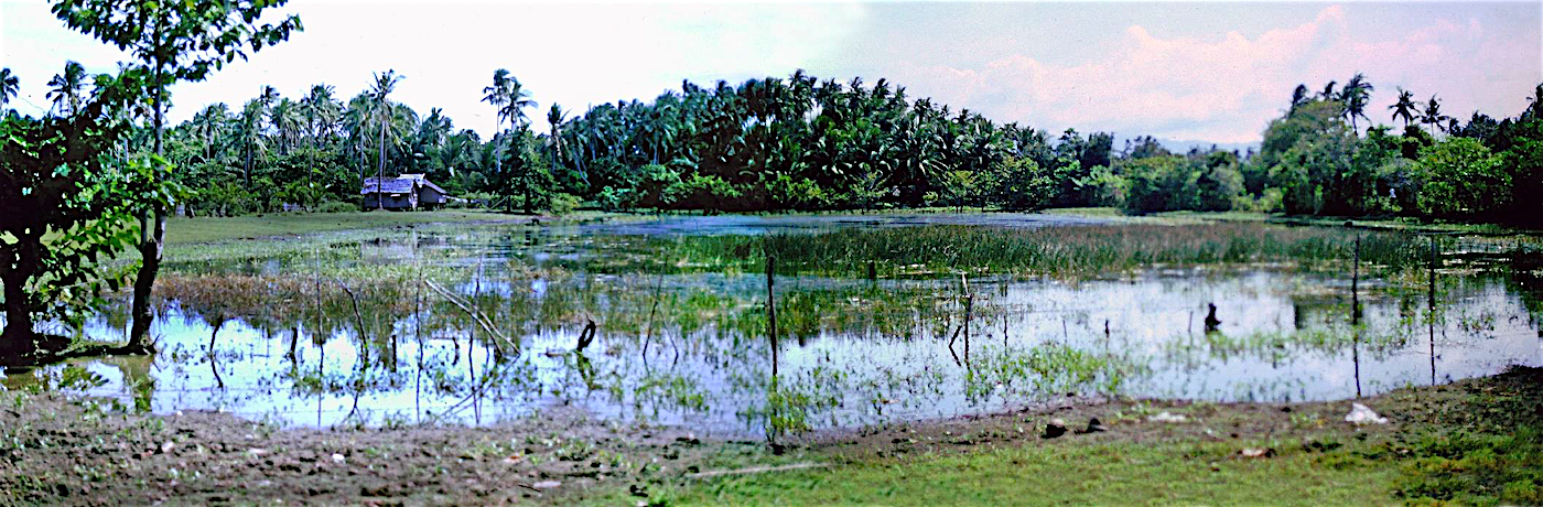 The Balabag wetland circa 1981