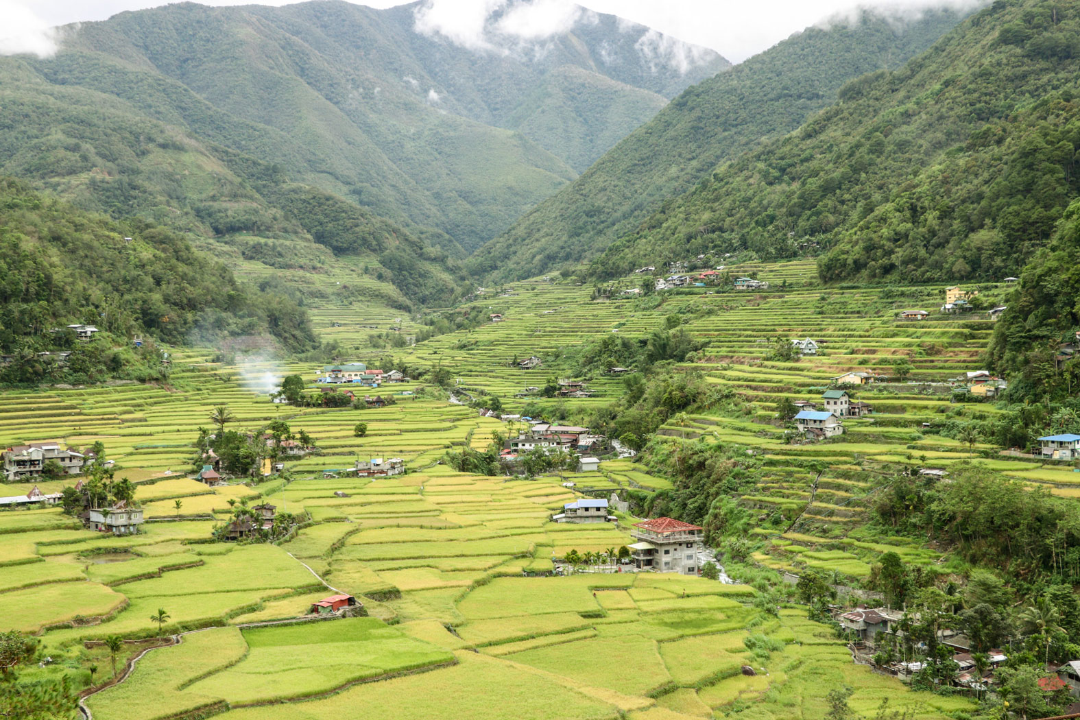 Patience yields a harvest of opportunities