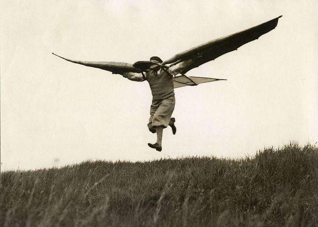 Feathers and Wings, and How We Fly - Frontiers of Psychotherapist  Development